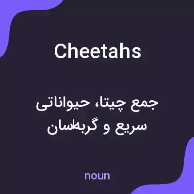 معنی cheetahs به فارسی معنی cheetahs به فارسی