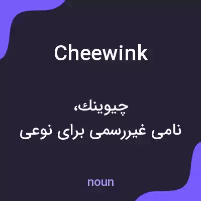 معنی cheewink به فارسی معنی cheewink به فارسی