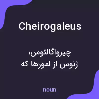 معنی cheirogaleus به فارسی معنی cheirogaleus به فارسی