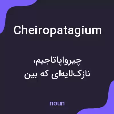 معنی cheiropatagium به فارسی معنی cheiropatagium به فارسی