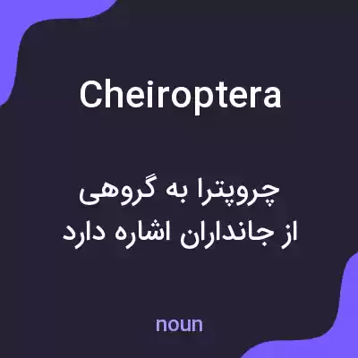 معنی cheiroptera به فارسی معنی cheiroptera به فارسی