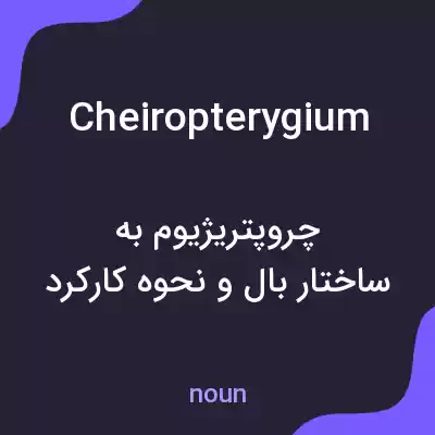معنی cheiropterygium به فارسی معنی cheiropterygium به فارسی
