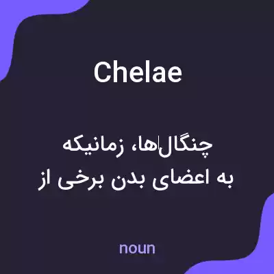 معنی chelae به فارسی معنی chelae به فارسی