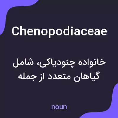 معنی chenopodiaceae به فارسی معنی chenopodiaceae به فارسی