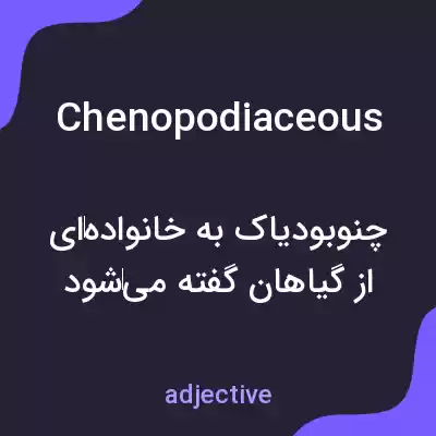 معنی chenopodiaceous به فارسی معنی chenopodiaceous به فارسی