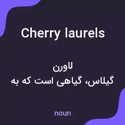 معنی cherry laurels به فارسی معنی cherry laurels به فارسی