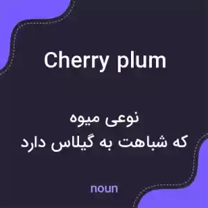 معنی cherry plum به فارسی معنی cherry plum به فارسی