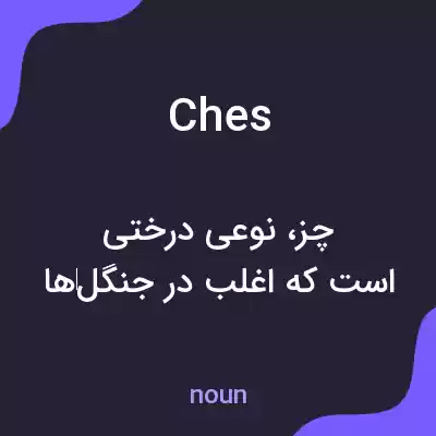 معنی ches به فارسی معنی ches به فارسی