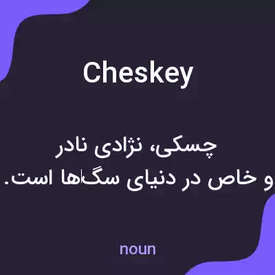 معنی cheskey به فارسی معنی cheskey به فارسی