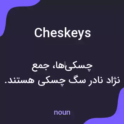 معنی cheskeys به فارسی معنی cheskeys به فارسی