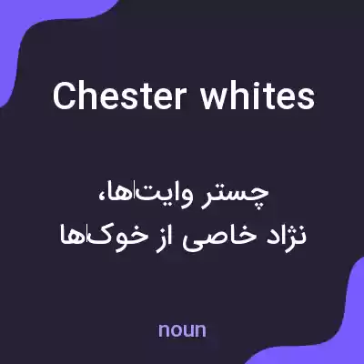 معنی chester whites به فارسی معنی chester whites به فارسی