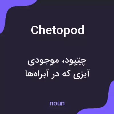 معنی chetopod به فارسی معنی chetopod به فارسی