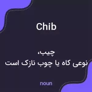 معنی chib به فارسی معنی chib به فارسی