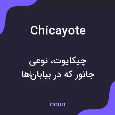 معنی chicayote به فارسی معنی chicayote به فارسی