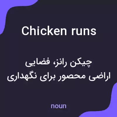 معنی chicken runs به فارسی معنی chicken runs به فارسی