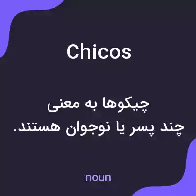 معنی chicos به فارسی معنی chicos به فارسی