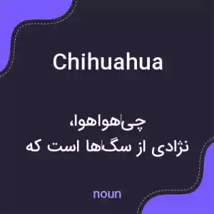 معنی chihuahua به فارسی معنی chihuahua به فارسی