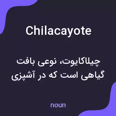 معنی chilacayote به فارسی