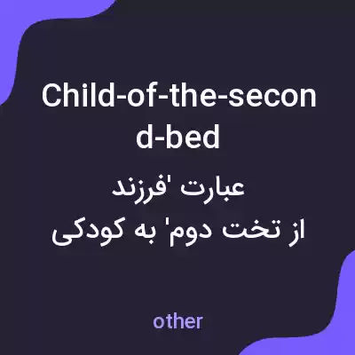 معنی child-of-the-second-bed به فارسی معنی child-of-the-second-bed به فارسی