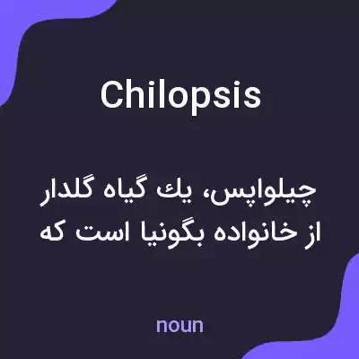 معنی chilopsis به فارسی