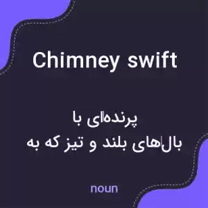 معنی chimney swift به فارسی معنی chimney swift به فارسی