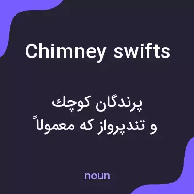 معنی chimney swifts به فارسی معنی chimney swifts به فارسی