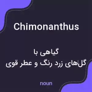 معنی chimonanthus به فارسی معنی chimonanthus به فارسی