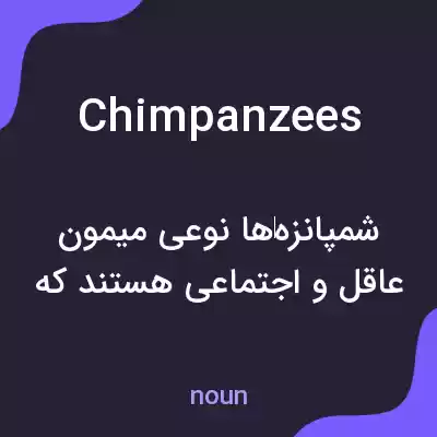 معنی chimpanzees به فارسی معنی chimpanzees به فارسی