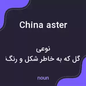 معنی china aster به فارسی معنی china aster به فارسی
