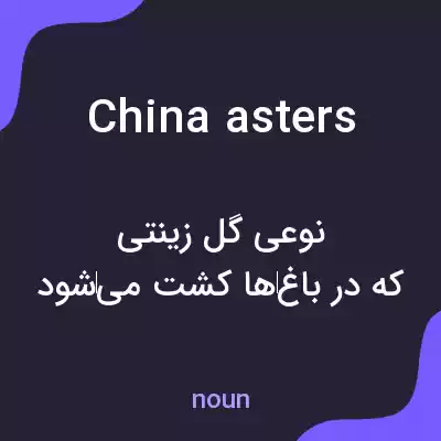 معنی china asters به فارسی معنی china asters به فارسی