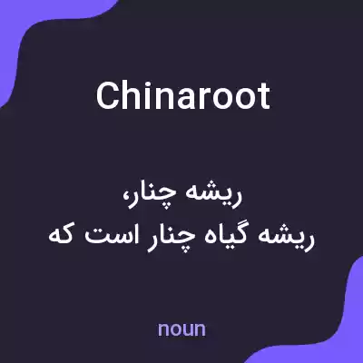 معنی chinaroot به فارسی معنی chinaroot به فارسی