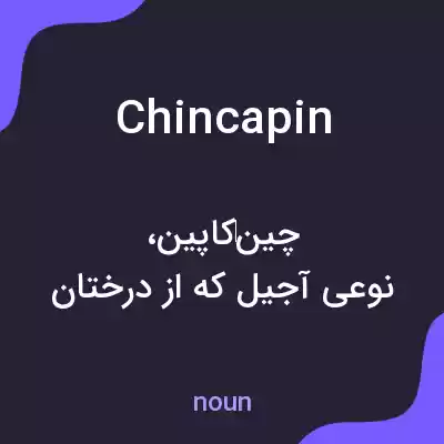 معنی chincapin به فارسی معنی chincapin به فارسی