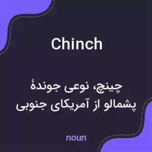 معنی chinch به فارسی معنی chinch به فارسی