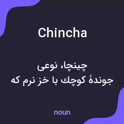 معنی chincha به فارسی معنی chincha به فارسی