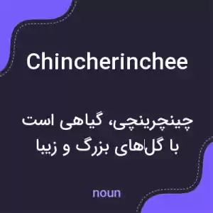 معنی chincherinchee به فارسی