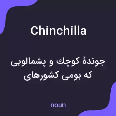 معنی chinchilla به فارسی معنی chinchilla به فارسی