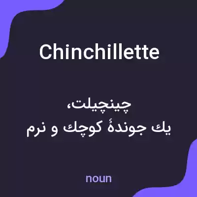 معنی chinchillette به فارسی معنی chinchillette به فارسی