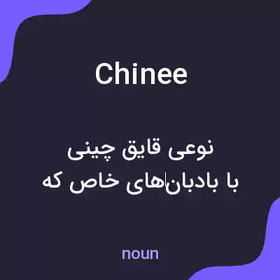 معنی chinee به فارسی معنی chinee به فارسی