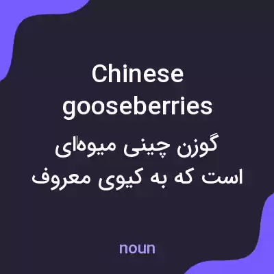 معنی chinese gooseberries به فارسی معنی chinese gooseberries به فارسی