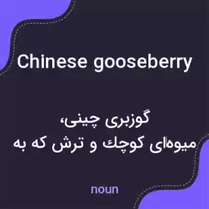 معنی chinese gooseberry به فارسی معنی chinese gooseberry به فارسی