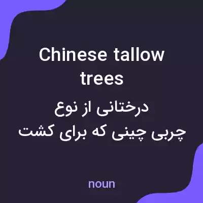 معنی chinese tallow trees به فارسی معنی chinese tallow trees به فارسی