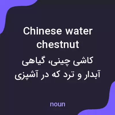 معنی chinese water chestnut به فارسی معنی chinese water chestnut به فارسی