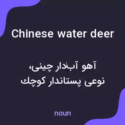 معنی chinese water deer به فارسی معنی chinese water deer به فارسی