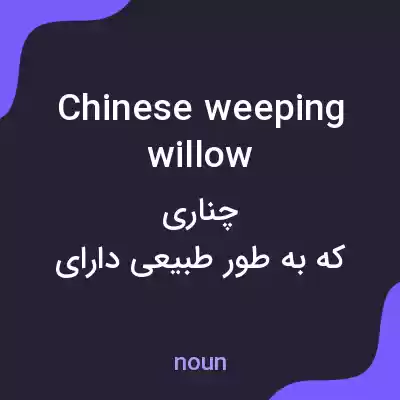 معنی chinese weeping willow به فارسی معنی chinese weeping willow به فارسی