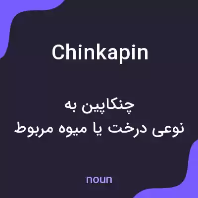معنی chinkapin به فارسی معنی chinkapin به فارسی