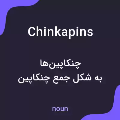 معنی chinkapins به فارسی معنی chinkapins به فارسی