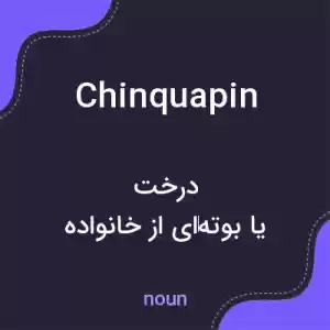 معنی chinquapin به فارسی