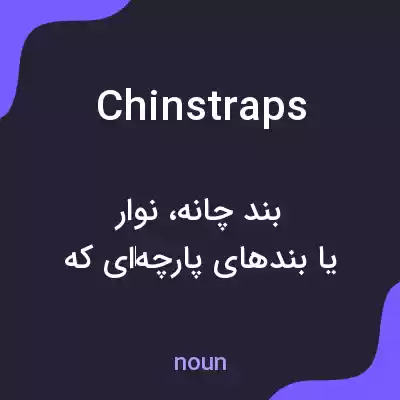 معنی chinstraps به فارسی