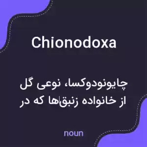 معنی chionodoxa به فارسی