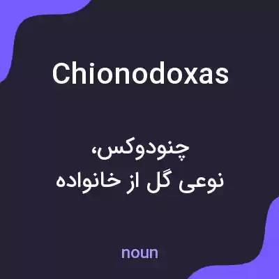 معنی chionodoxas به فارسی معنی chionodoxas به فارسی